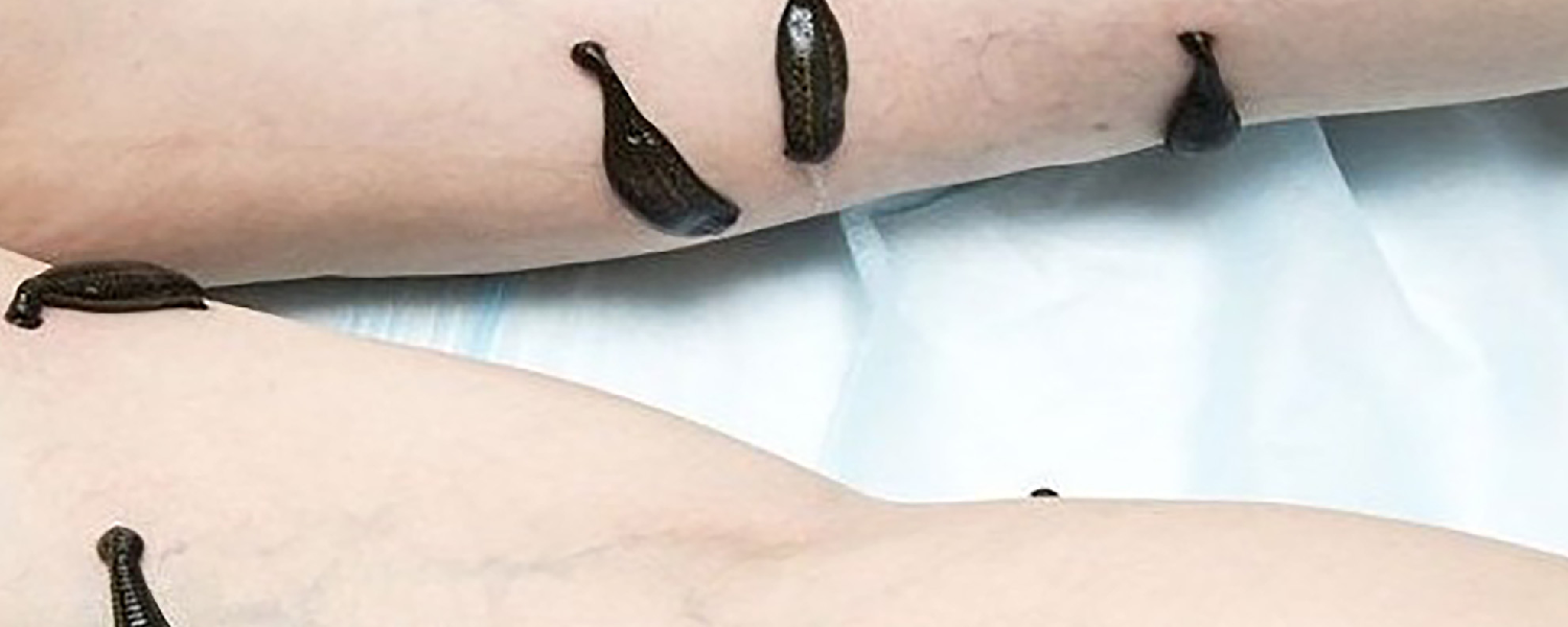 Dr. Mukesh Sharma Best Ayurvedic Wellness Center in Jaipur